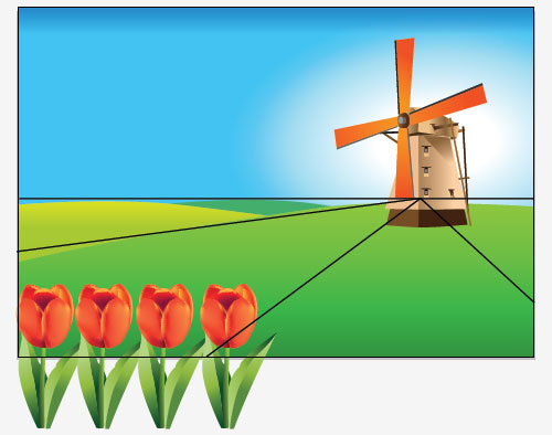 holland tulip field