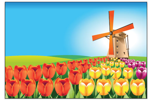 holland tulip field