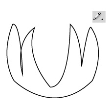 vector flower