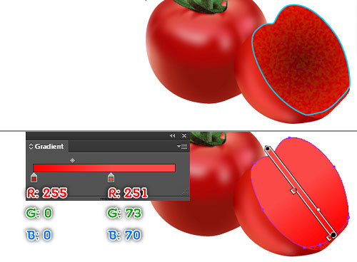 vector tomato
