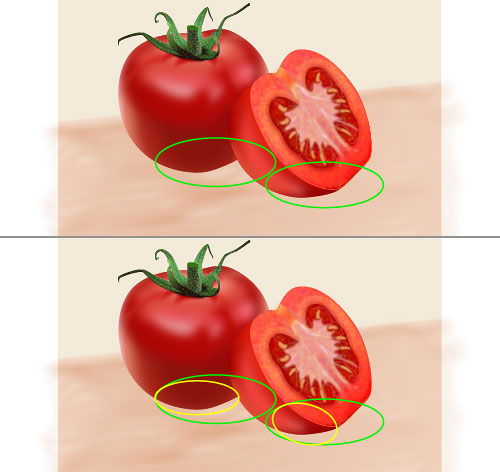 vector tomato