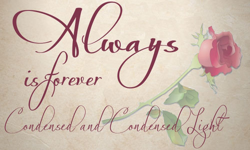 Download Free Top 20 Most Beautiful Calligraphy Fonts Illustrator Tutorials Tips PSD Mockup Template