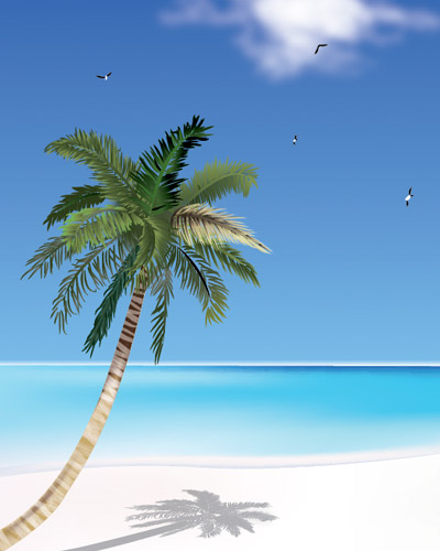 Premium Tutorial Coconut Tree The Beach