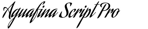 Aguafina Script Pro