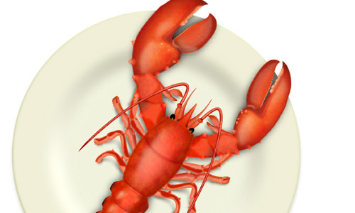 vector lobster