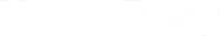 vectordiary logo