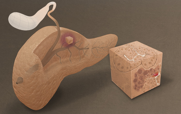 modern medical illustrators with amazing illustrations medical illustration studios